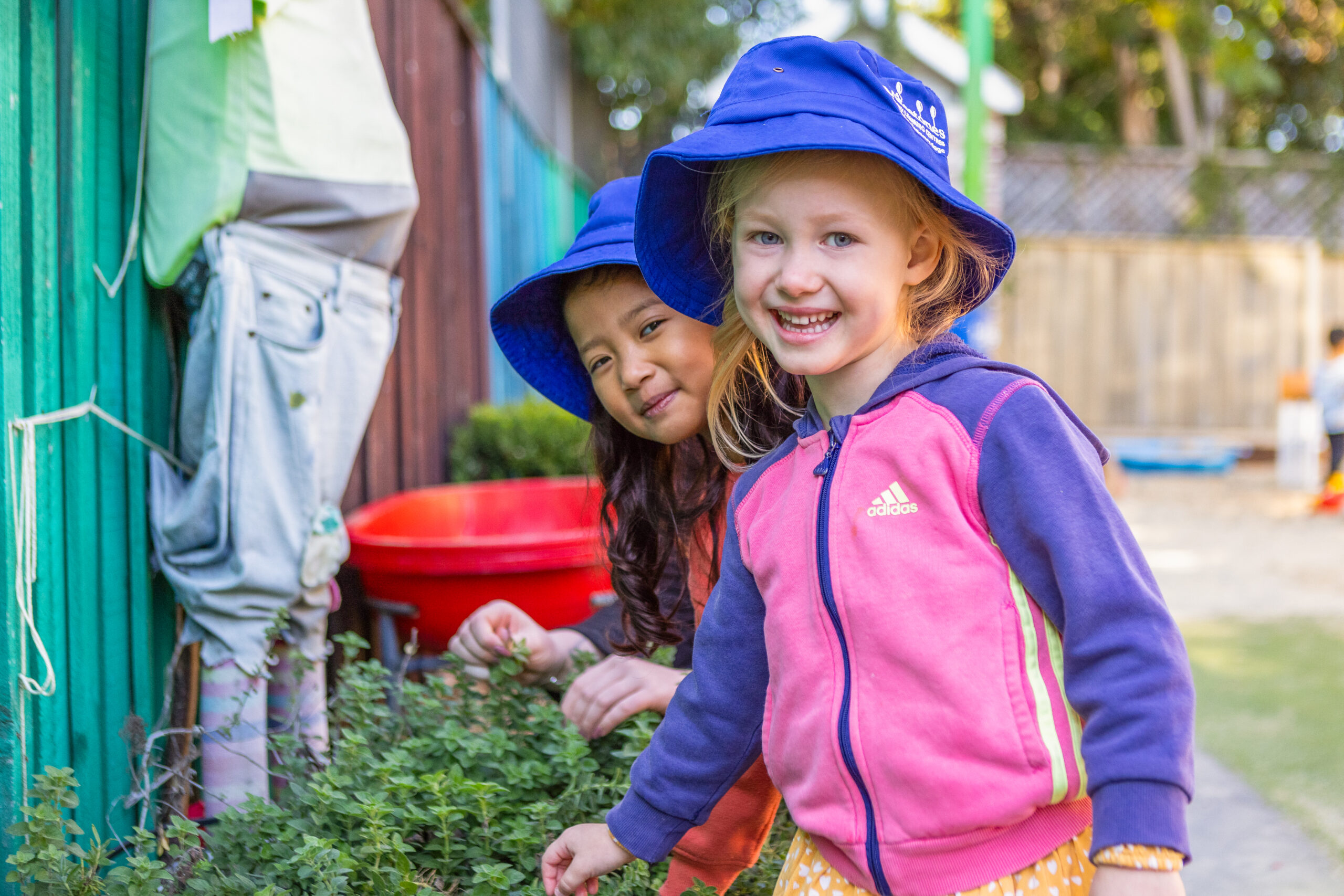 Early childhood learning and education at Milestones Seven Hills