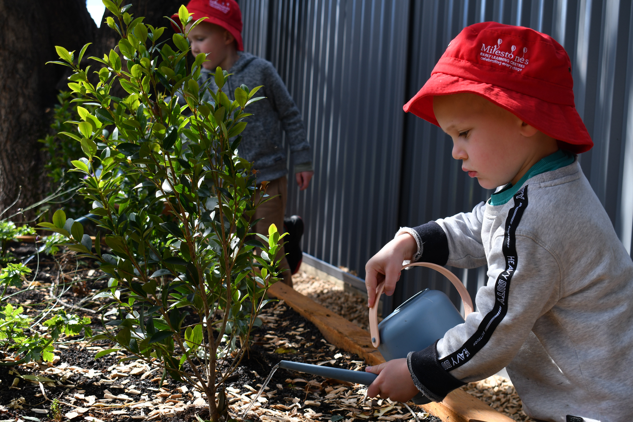 Aussie Wildlife Champions