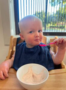 Milestones Early Childhood Experiences Toddler Meal