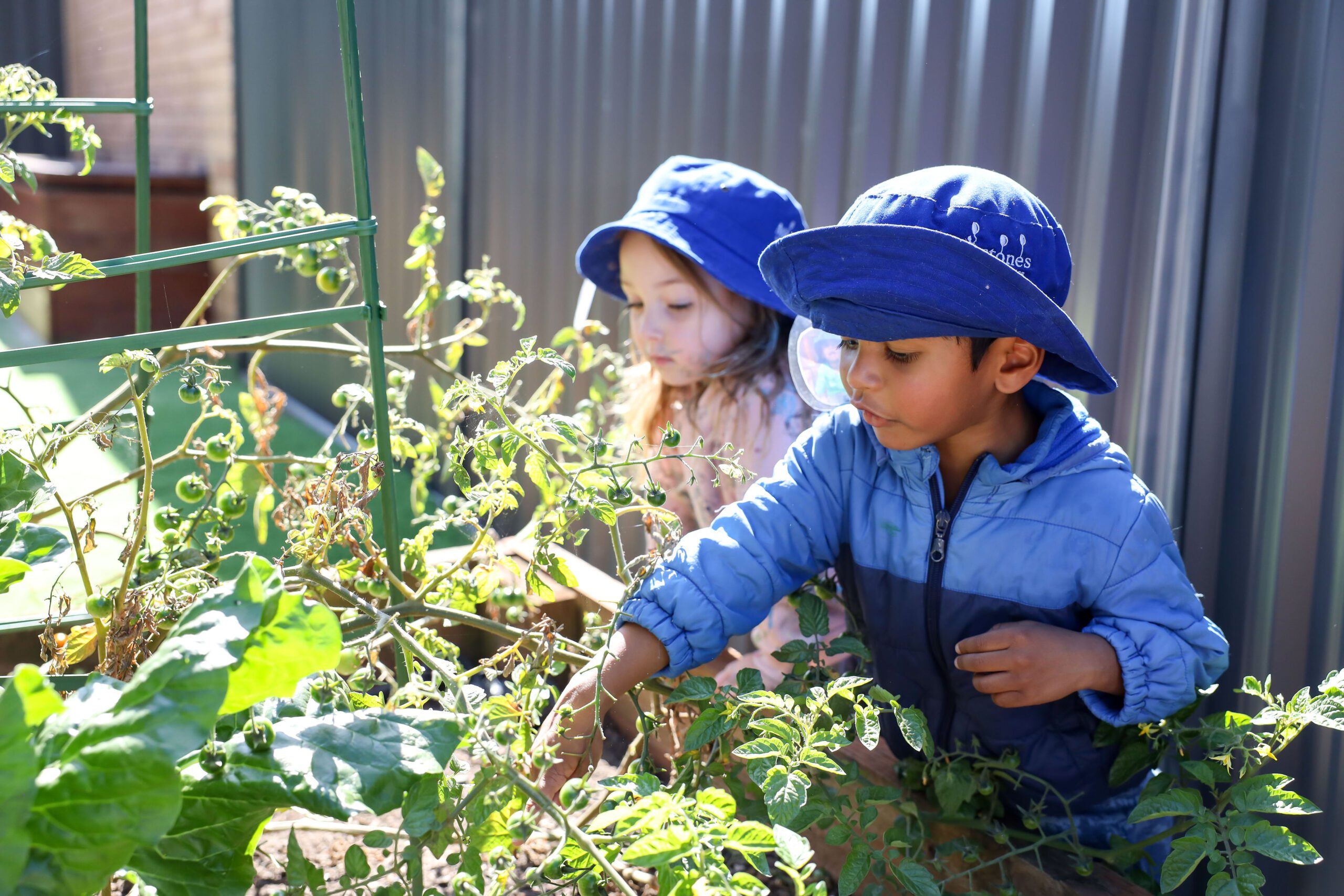 Easy Gardening Activities for Kids - Milestones Early Learning